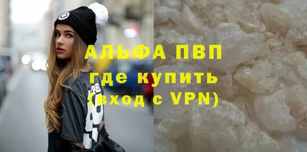 СК Зеленокумск