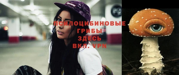 таблы Зерноград