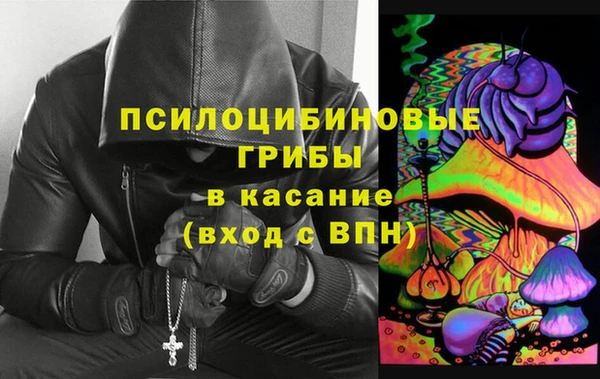 СК Зеленокумск