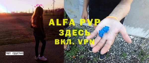 СК Зеленокумск