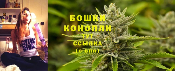 молекула духа Зеленодольск