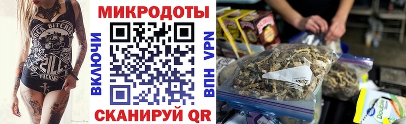 гидра ТОР  Черкесск  Галлюциногенные грибы Psilocybine cubensis 
